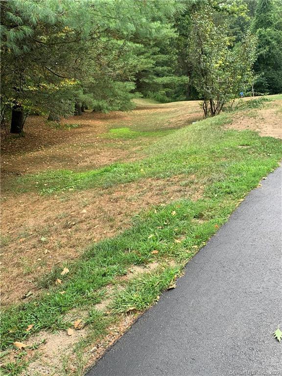 9 A Vail Road Brookfield, CT 06804 - Photo 1 of 1 a view of a yard with a large trees
