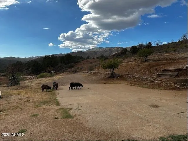 a view of a sky view