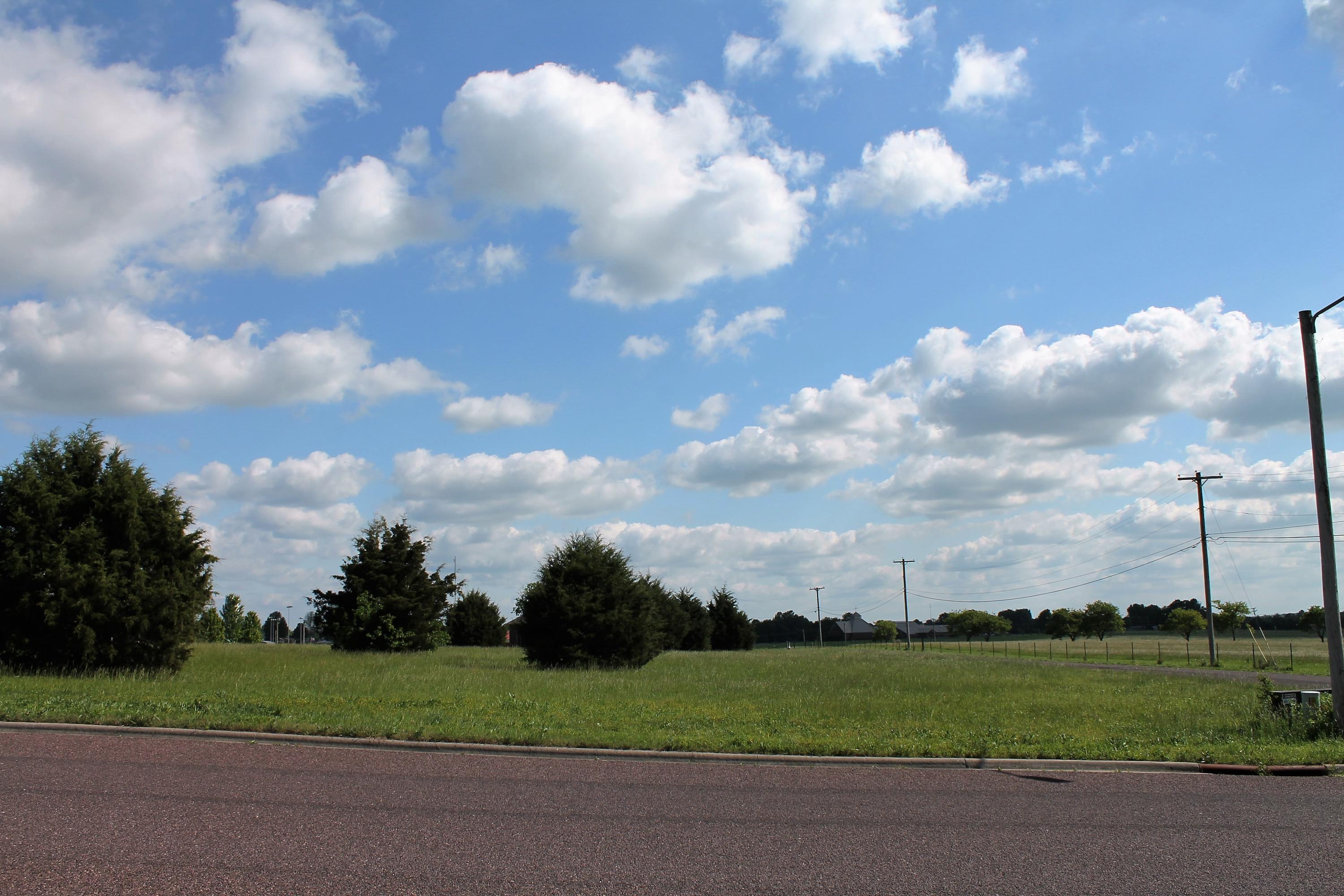 Tbd Tbd Drive Monett, MO 65708 - Photo 1 of 1 IMG_6524