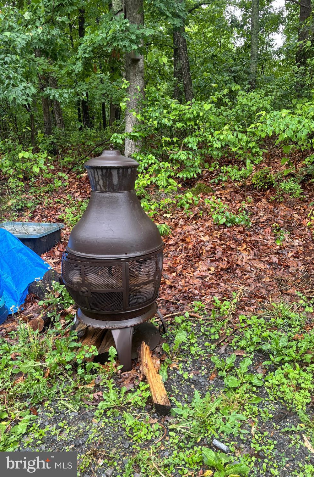 8964 Jersey Mountain Road Points, WV 25437 - Photo 16 of 34 Firepit conveys
