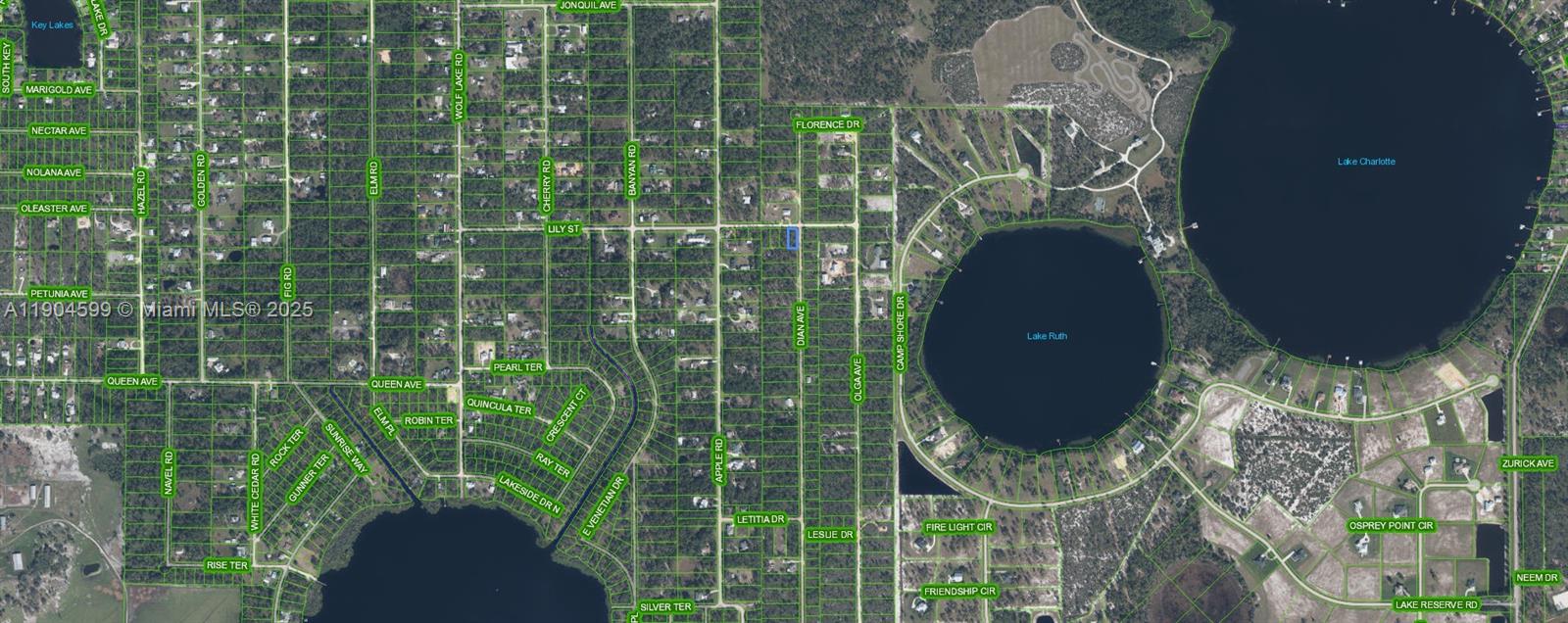 809 Lily Street Sebring, FL 33875 - Photo 2 of 5 a view of fountain in the balcony