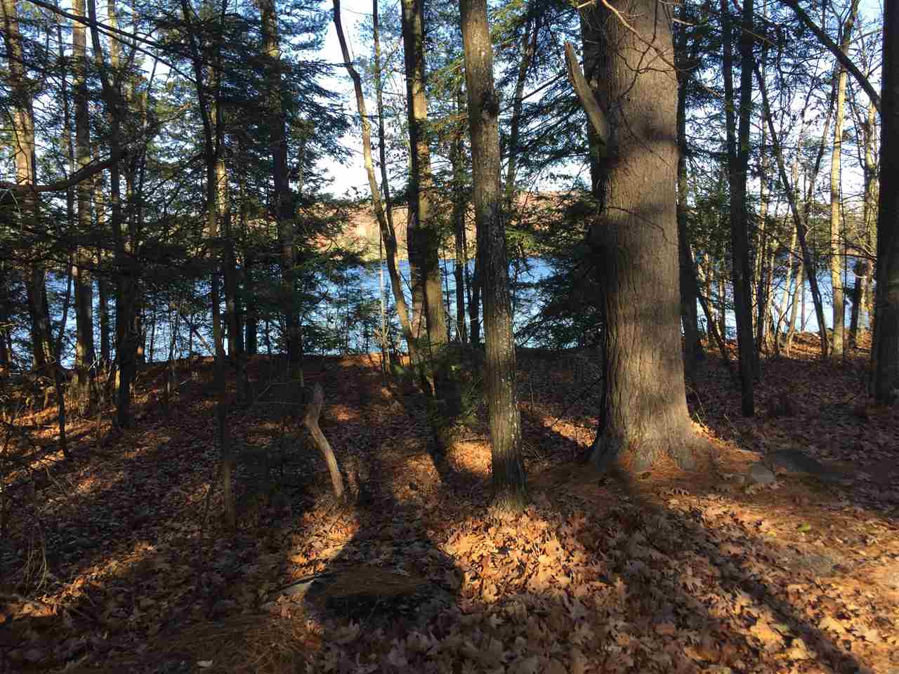 0 Lake Road Dublin, NH 03444 - Photo 1 of 1