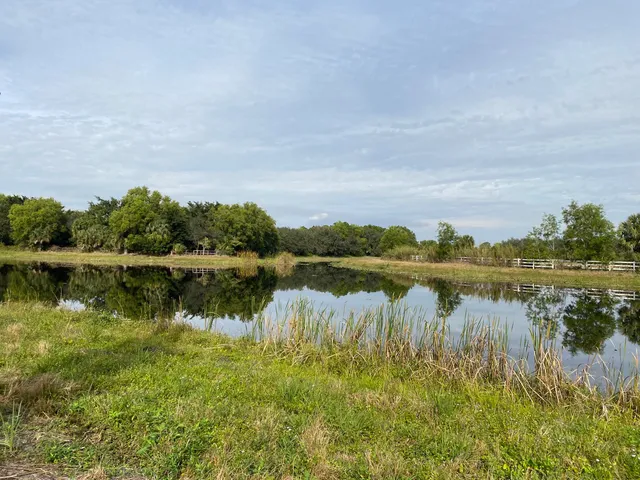 a swimming pool with trees in the background