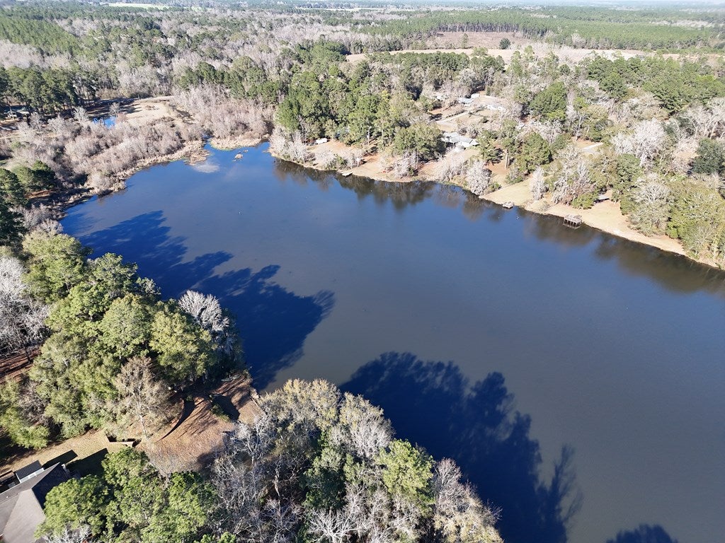 0 Parcel Ochlocknee, GA 31773 - Photo 6 of 12 Gallery Image 6