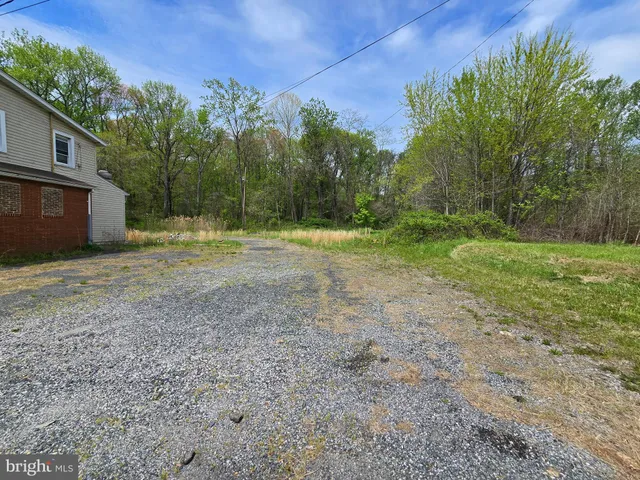 a view of a backyard with large trees