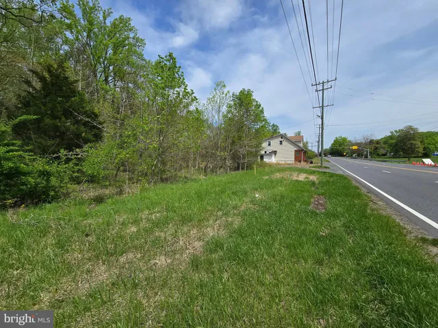 a view of a house with a big yard and a large tree