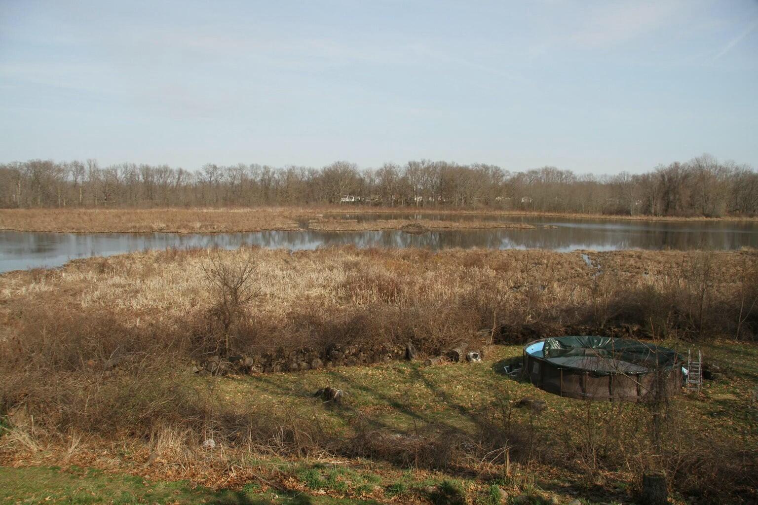 1029 Azaleamum Drive Three Rivers, MI 49093 - Photo 23 of 26 tempImageQCRfDD