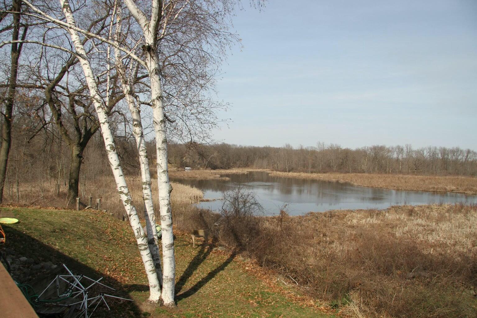 1029 Azaleamum Drive Three Rivers, MI 49093 - Photo 24 of 26 tempImageUEhH1f