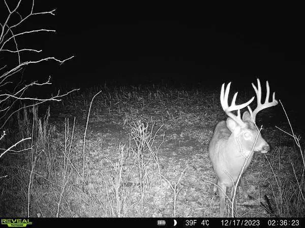 $139,900 | 20.05-acres County Road South, Boyceville, WI 54725