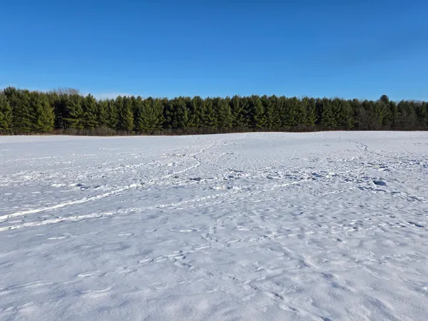 $139,900 | 20.05-acres County Road South, Boyceville, WI 54725