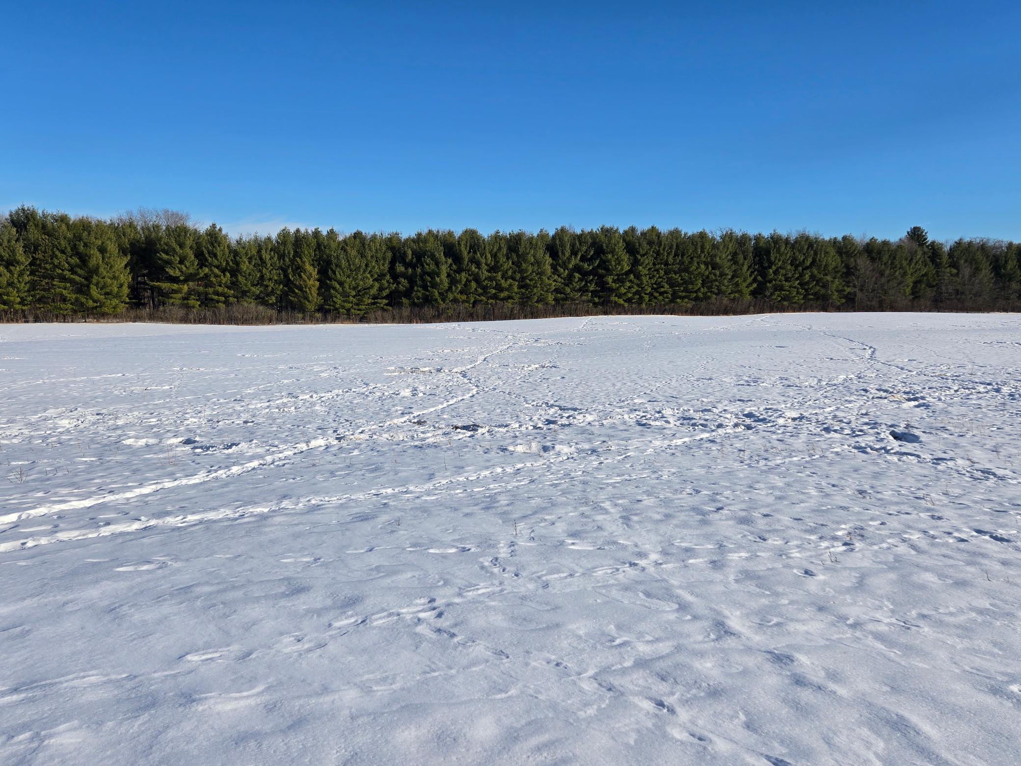 20.05-acres County Road South Boyceville, WI 54725 - Photo 3 of 10