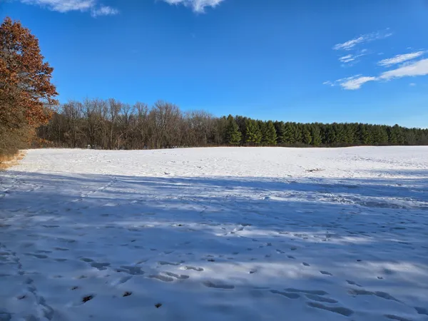 $139,900 | 20.05-acres County Road South, Boyceville, WI 54725