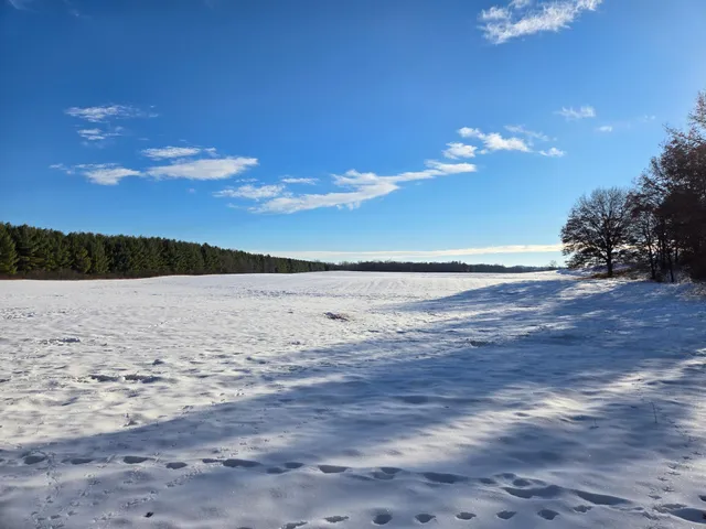 $150,375 | 20.05-acres County Road South, Boyceville, WI 54725