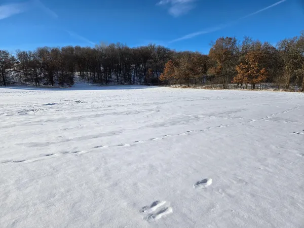 $139,900 | 20.05-acres County Road South, Boyceville, WI 54725