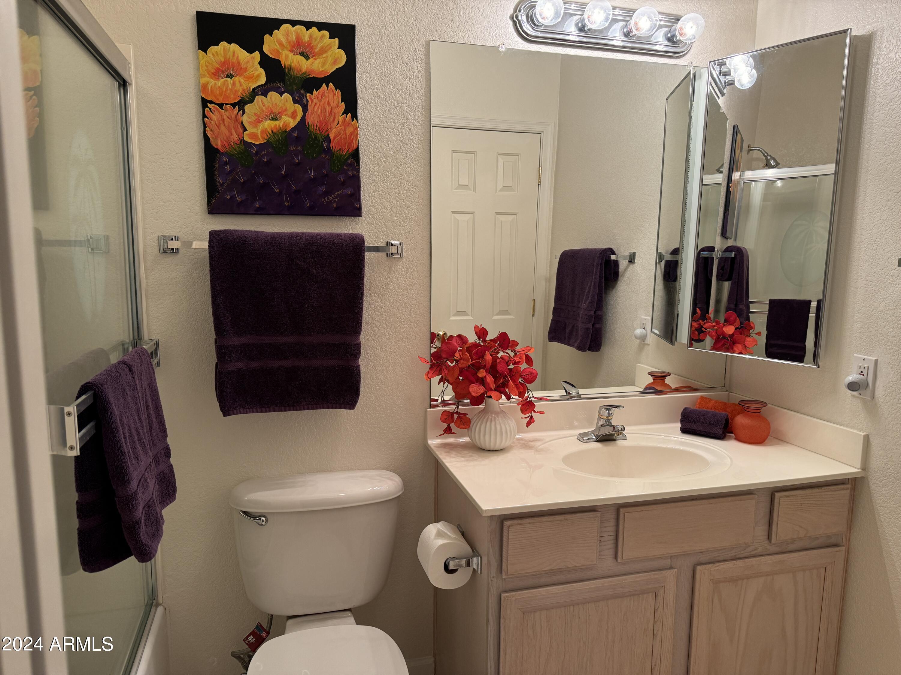 7361 Rugged Ironwood Road Gold Canyon, AZ 85118 - Photo 12 of 52 Guest Bath