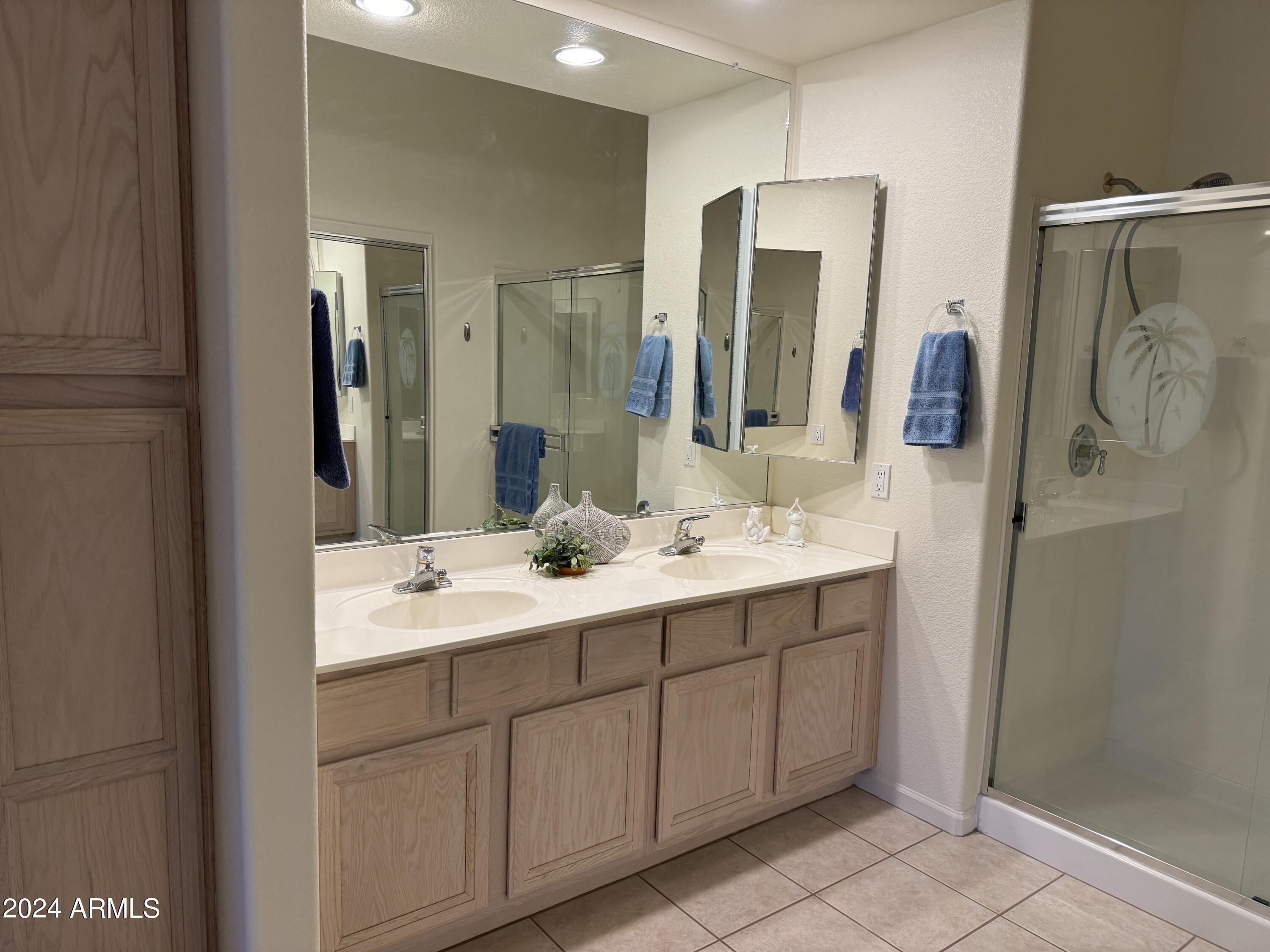 7361 Rugged Ironwood Road Gold Canyon, AZ 85118 - Photo 19 of 52 Master bathroom