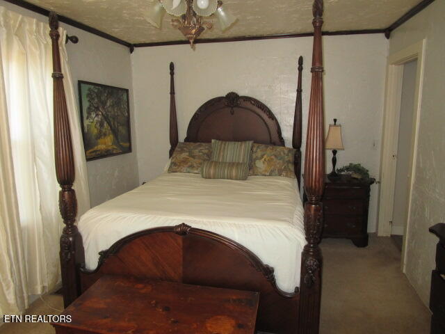 139 Buffalo Springs Road Rutledge, TN 37861 - Photo 11 of 15 IMG_4340
