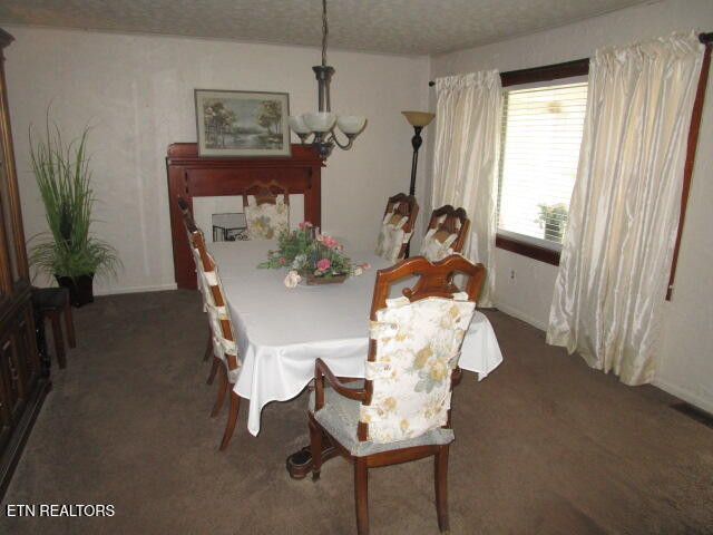 139 Buffalo Springs Road Rutledge, TN 37861 - Photo 7 of 15 IMG_4353