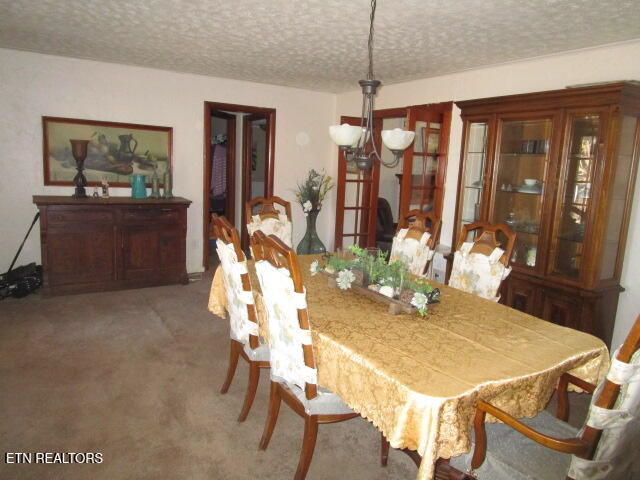 139 Buffalo Springs Road Rutledge, TN 37861 - Photo 7 of 13 IMG_4334