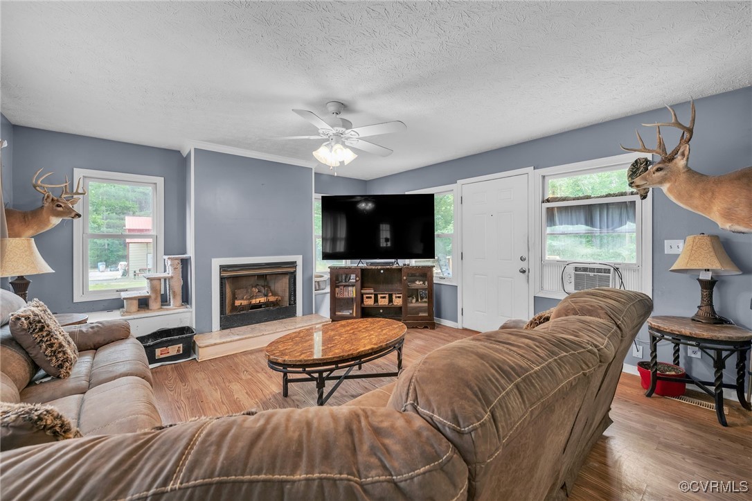 1305 Pea Rdg Road Bruington, VA 23023 - Photo 3 of 32 Living room with wood finished floors, a ceiling f