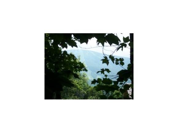 A12 High Meadow Road Winhall, VT 05340 - Photo 1 of 1