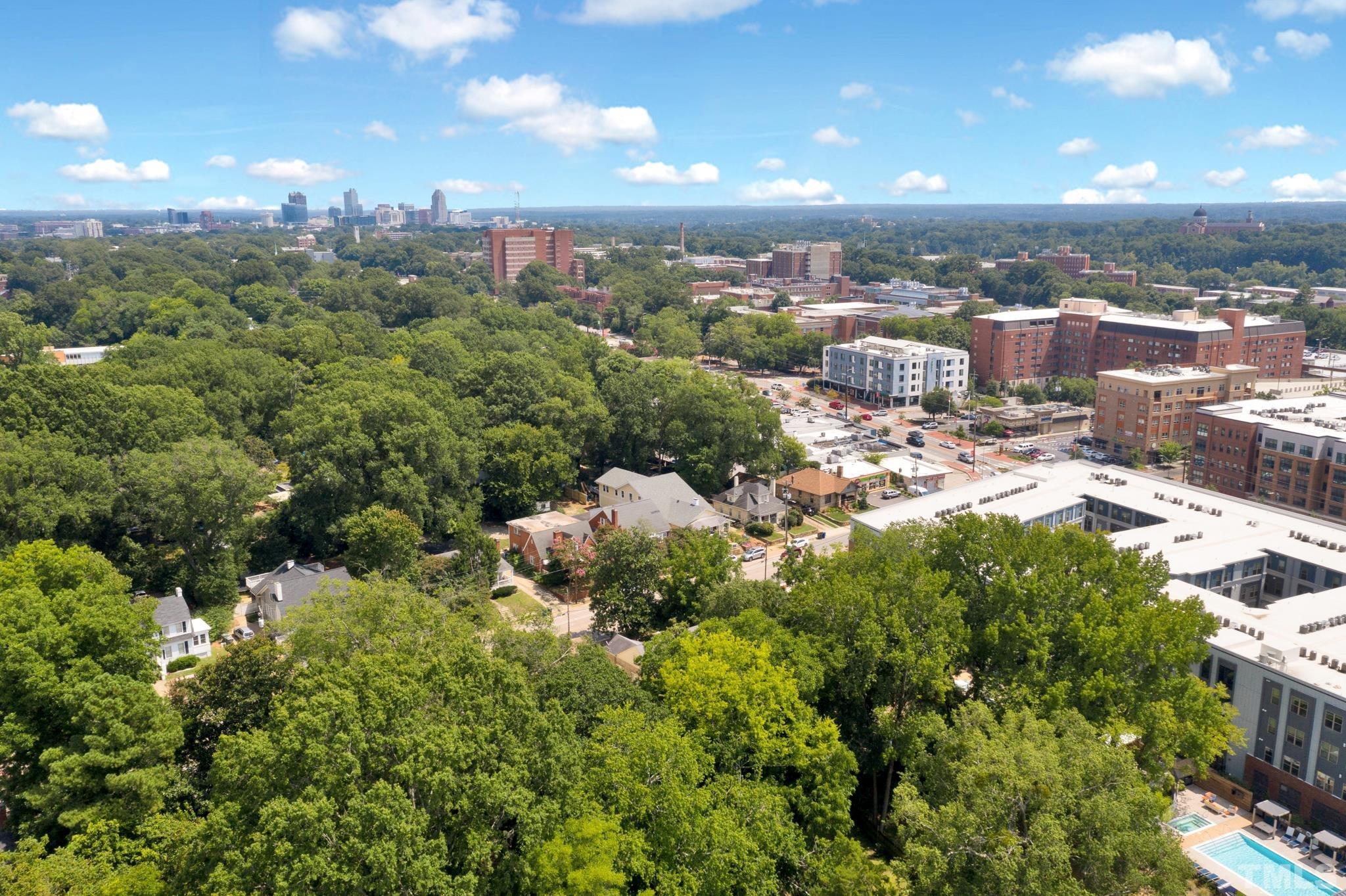 10 Dixie Trail Raleigh, NC 27607 - Photo 3 of 27 a view of a city
