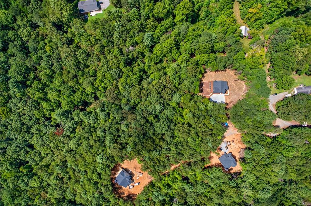 824 Banks Road Ellijay, GA 30540 - Photo 17 of 71 Gallery Image 17