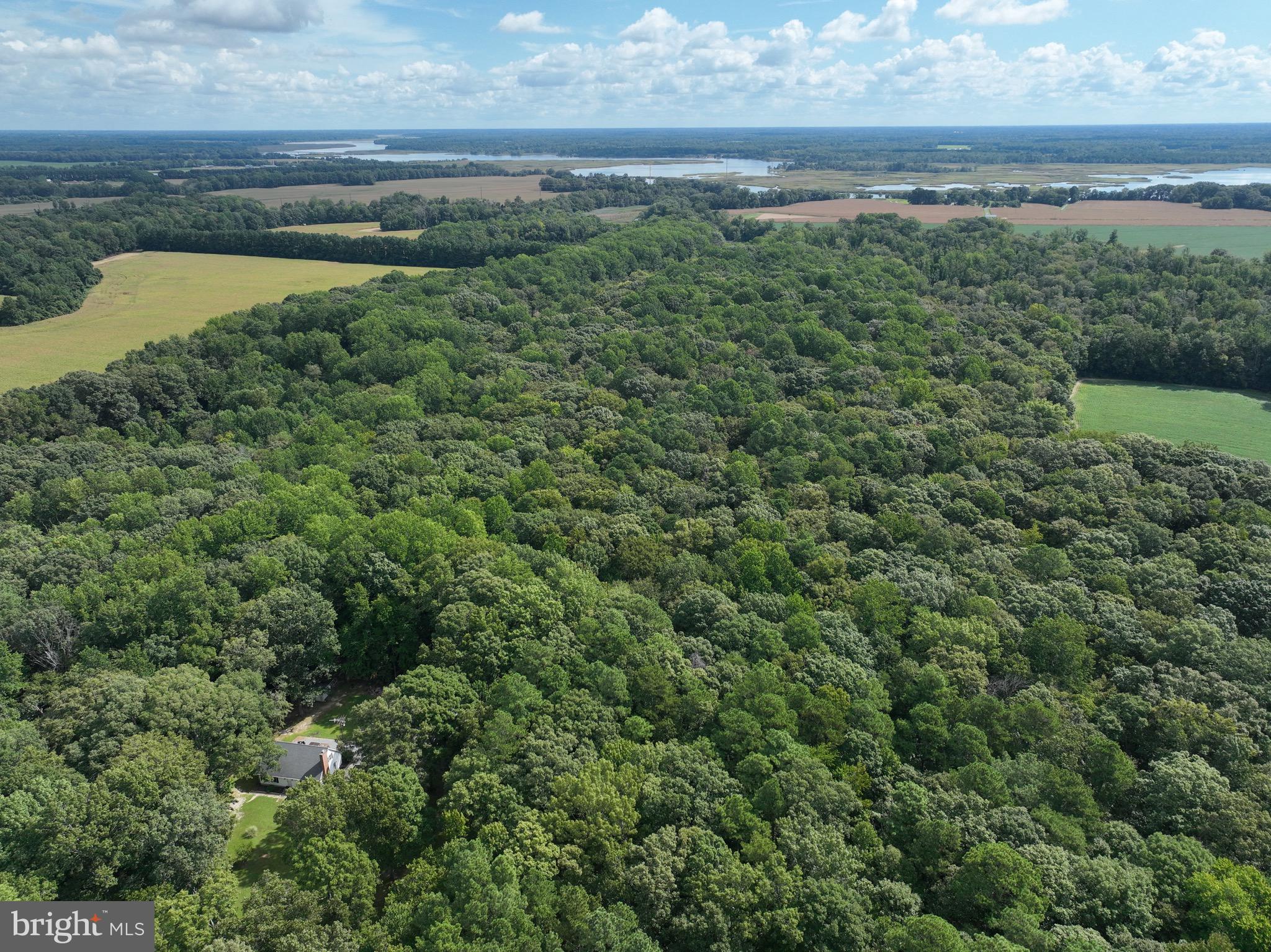 0 Boston Cliff Road Easton, MD 21601 - Photo 1 of 64 a view of a lake with beach and outdoor space