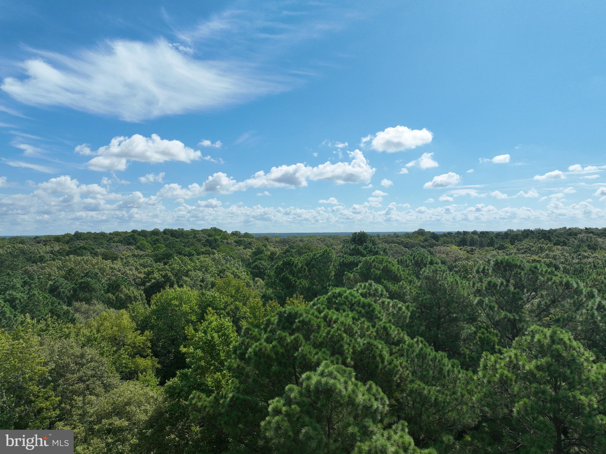 0 Boston Cliff Road Easton, MD 21601 - Photo 11 of 64 a view of a city and mountains in the background