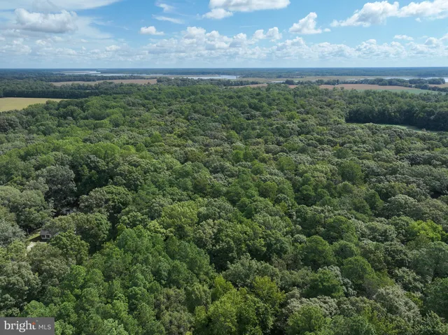 a view of a lake with a city