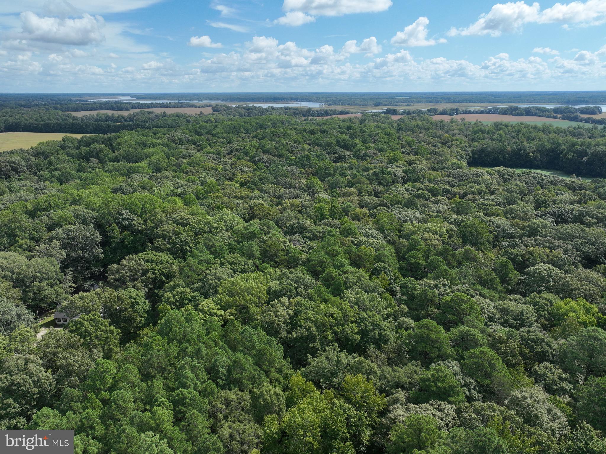 0 Boston Cliff Road Easton, MD 21601 - Photo 13 of 64