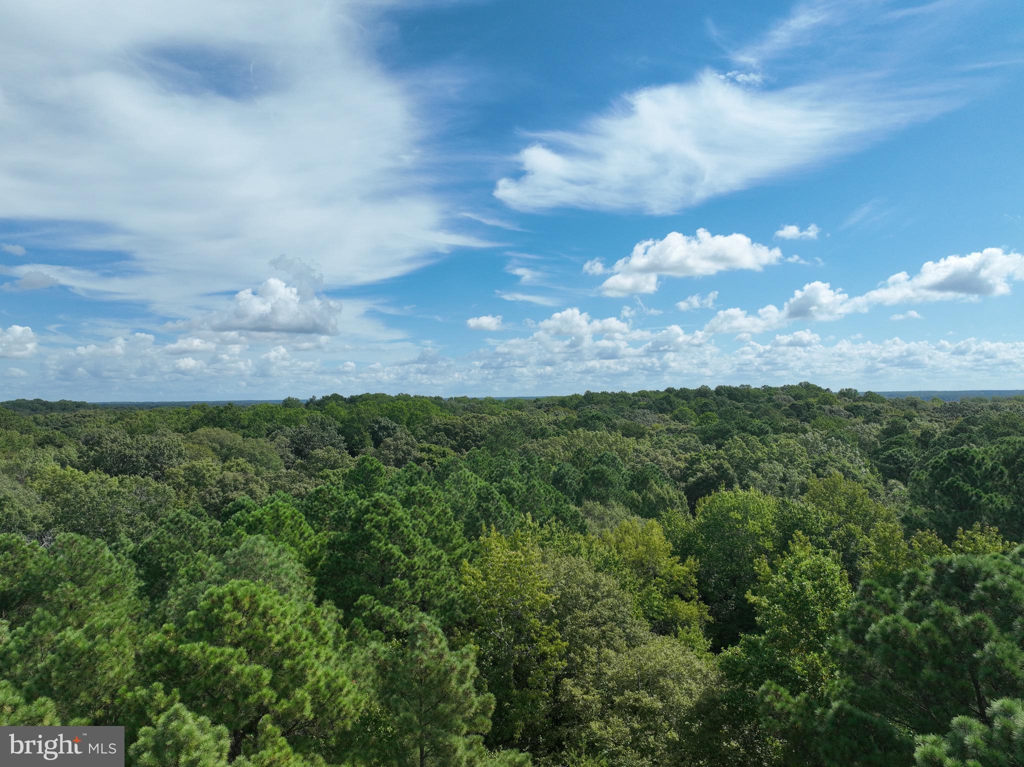 0 Boston Cliff Road Easton, MD 21601 - Photo 15 of 64 a view of a city