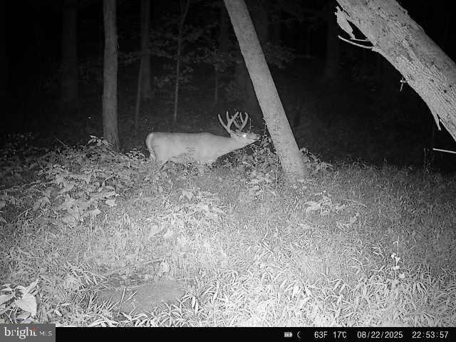 0 Boston Cliff Road Easton, MD 21601 - Photo 16 of 64