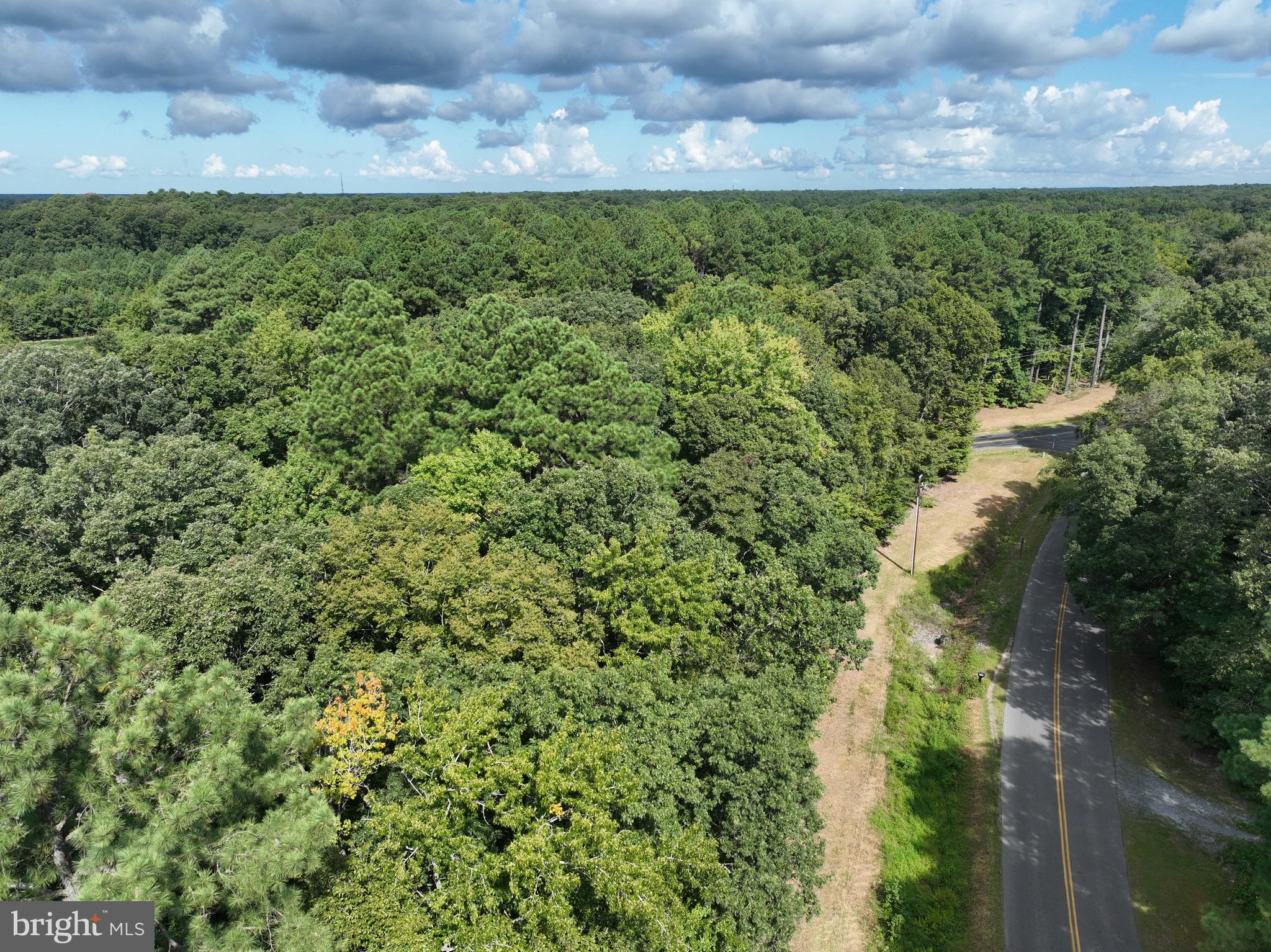 0 Boston Cliff Road Easton, MD 21601 - Photo 17 of 64 a view of a yard with a street