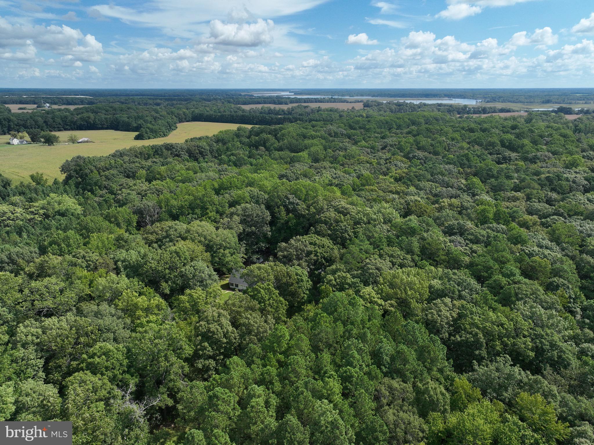 0 Boston Cliff Road Easton, MD 21601 - Photo 19 of 64 a view of a lake with a city
