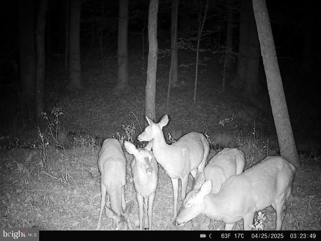 0 Boston Cliff Road Easton, MD 21601 - Photo 20 of 64