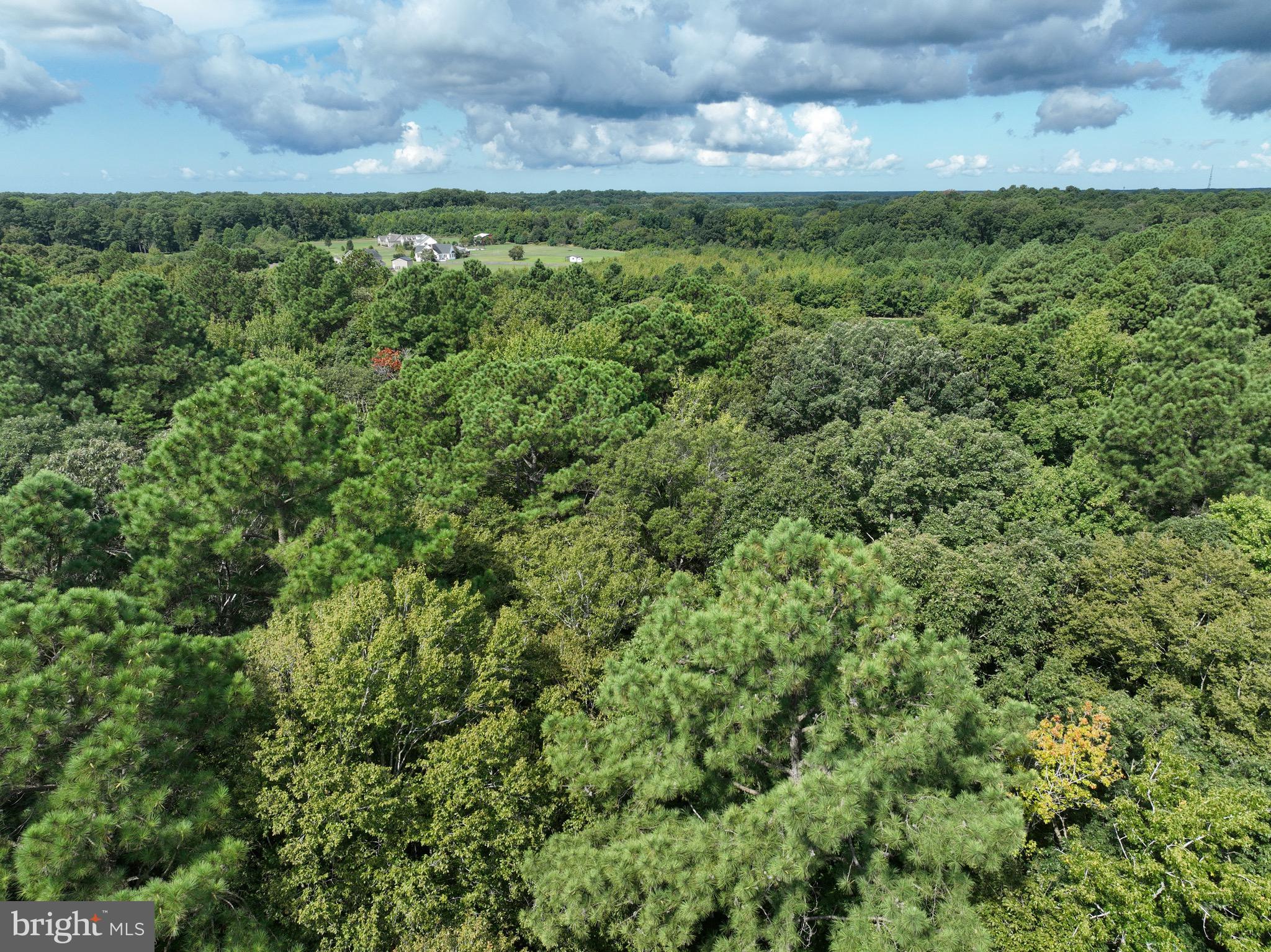 0 Boston Cliff Road Easton, MD 21601 - Photo 21 of 64 a view of a big yard with lots of green space