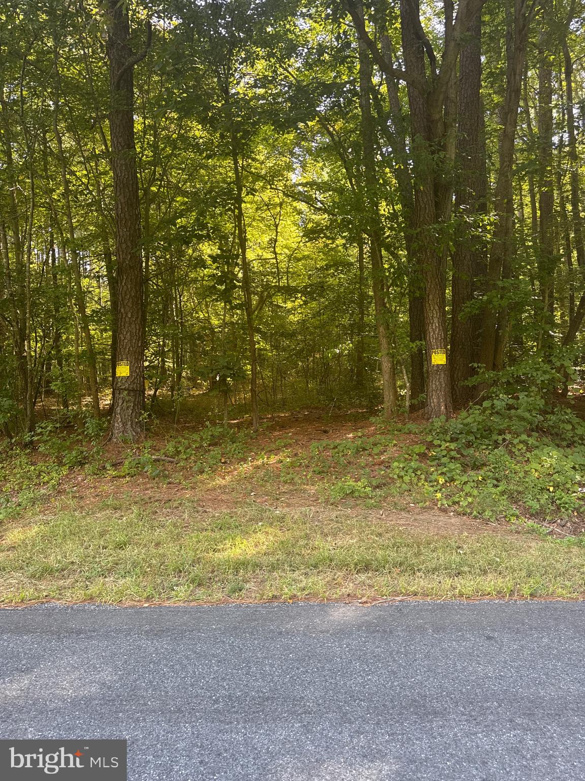 0 Boston Cliff Road Easton, MD 21601 - Photo 25 of 64