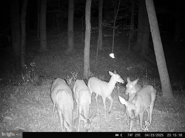 a view of outdoor space with trees