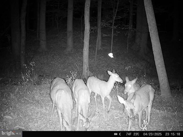 0 Boston Cliff Road Easton, MD 21601 - Photo 30 of 64 a bathroom with a sink and mirror