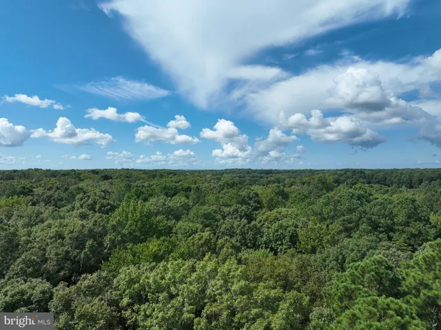 a view of a lake with a park