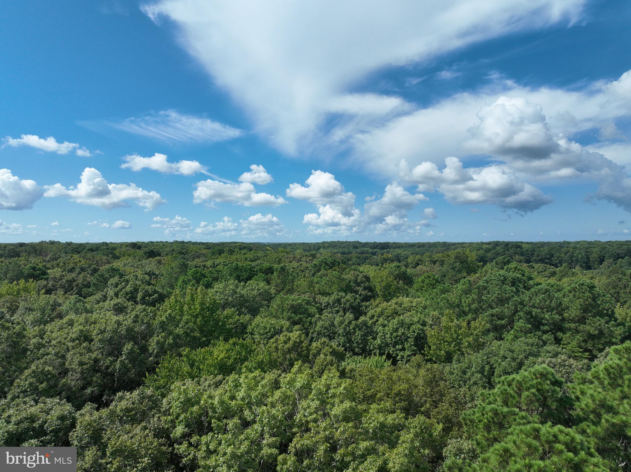 0 Boston Cliff Road Easton, MD 21601 - Photo 3 of 64