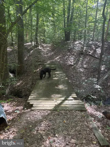a view of outdoor space and green space