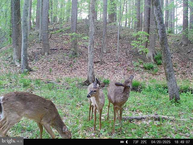 0 Boston Cliff Road Easton, MD 21601 - Photo 32 of 64