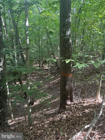 a view of outdoor space with trees