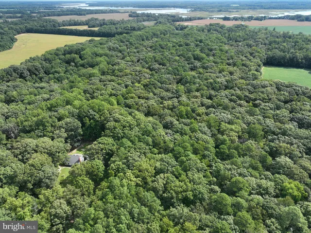 a view of a livingroom with furniture