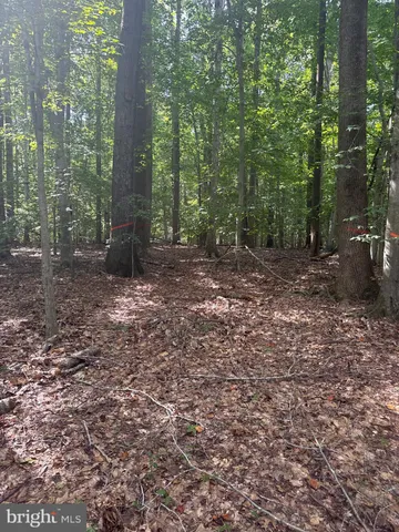 $225,000 | 0 Boston Cliff Road, Easton, MD 21601