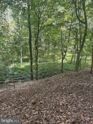 $225,000 | 0 Boston Cliff Road, Easton, MD 21601