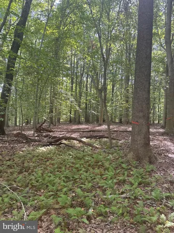 $225,000 | 0 Boston Cliff Road, Easton, MD 21601