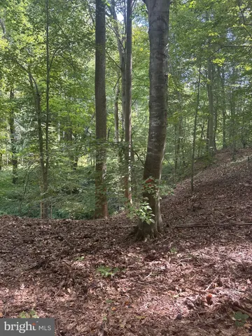 $225,000 | 0 Boston Cliff Road, Easton, MD 21601